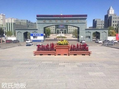 包頭回民中學(xué)運動木地板案例