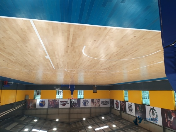松木體育場館木地板維護保養