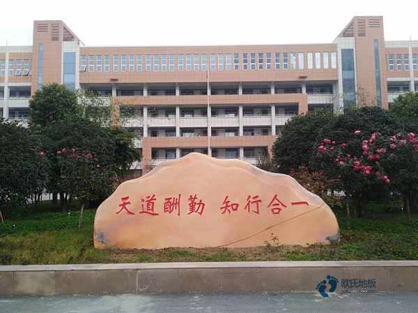 哪有籃球運動木地板行業品牌