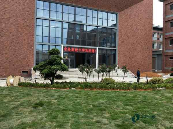 學校籃球場館木地板有哪些好處