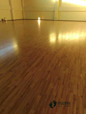 哪有運(yùn)動(dòng)場木地板行業(yè)品牌