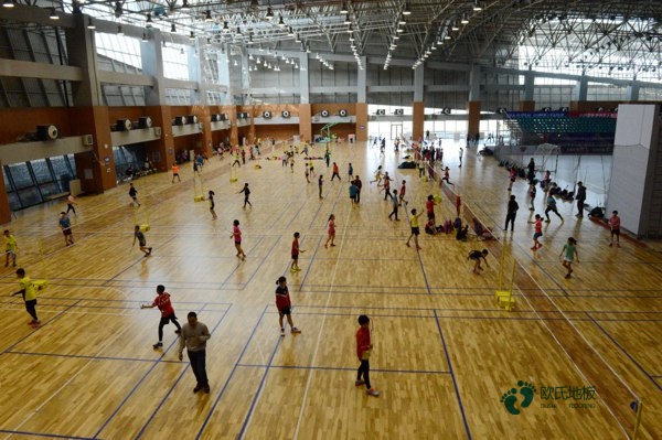 那有籃球木地板多少錢(qián)能下來(lái)